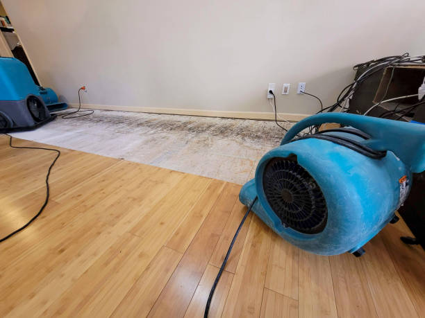 Professional Sewage Cleanup technician working in Aquilla, TX